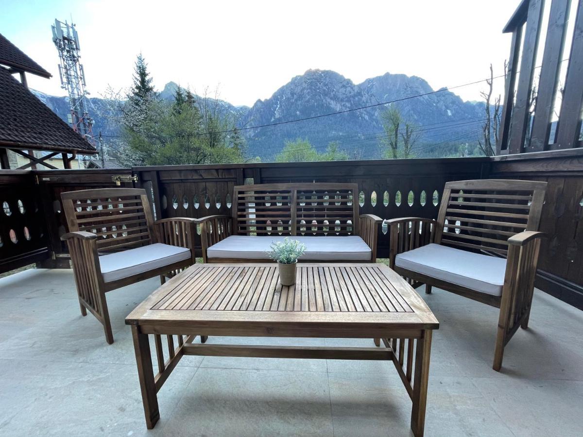 Castle Residence Apt. Zamorei Buşteni 外观 照片