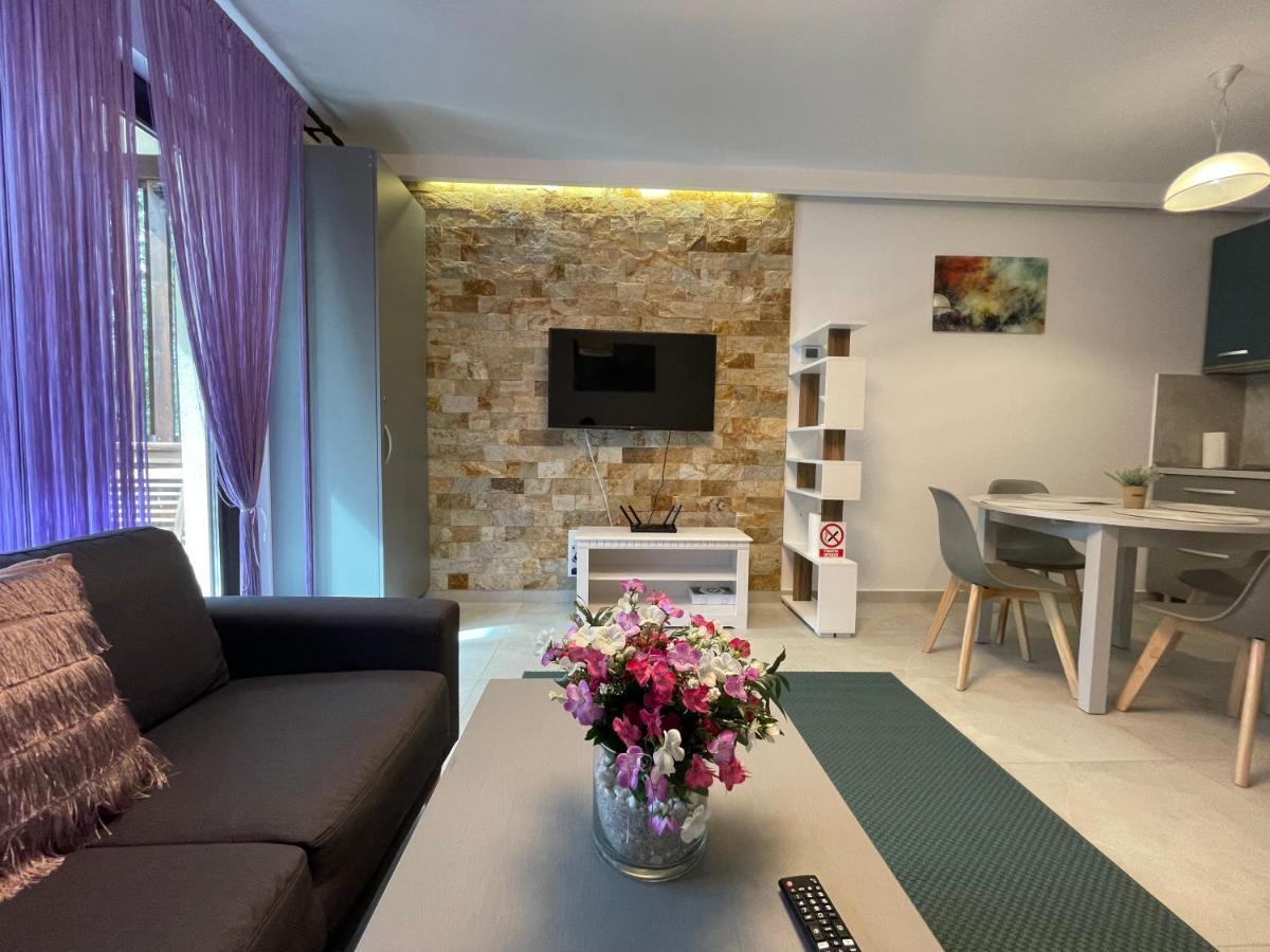 Castle Residence Apt. Zamorei Buşteni 外观 照片