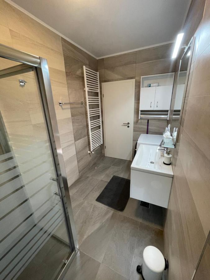 Castle Residence Apt. Zamorei Buşteni 外观 照片